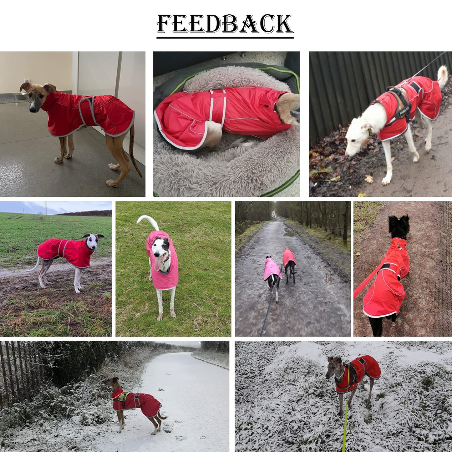 Greyhound Winter Coat, Whippet Coat with Padded Fleece Lining, Water Resistant Dog Jacket with Adjustable Bands and Reflective - Navy - XSmall