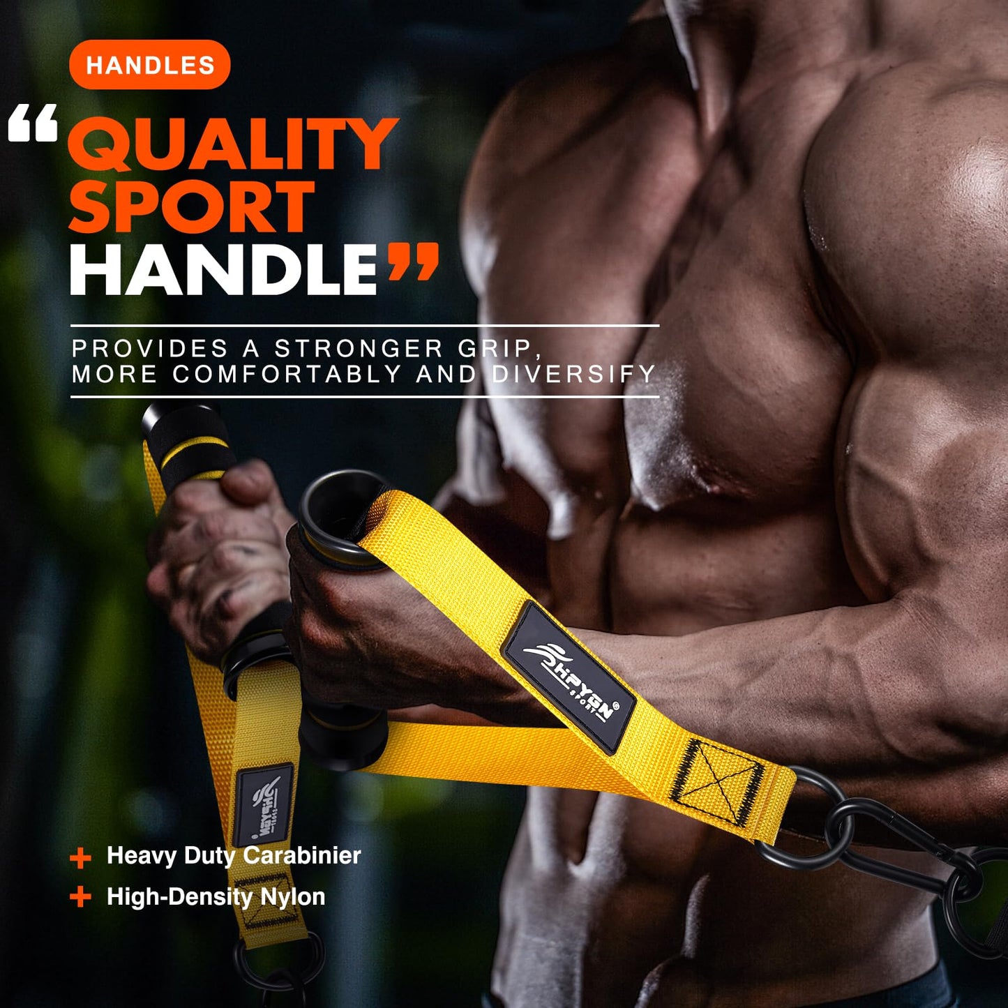 Exercise Handles, D Handle Cable Attachment, Grip Attachments for Cable Machine Pulleys, Resistance Bands and Strength Trainers, Pull Down Exercise Accessories, Home Gym Exercise Machine Attachments