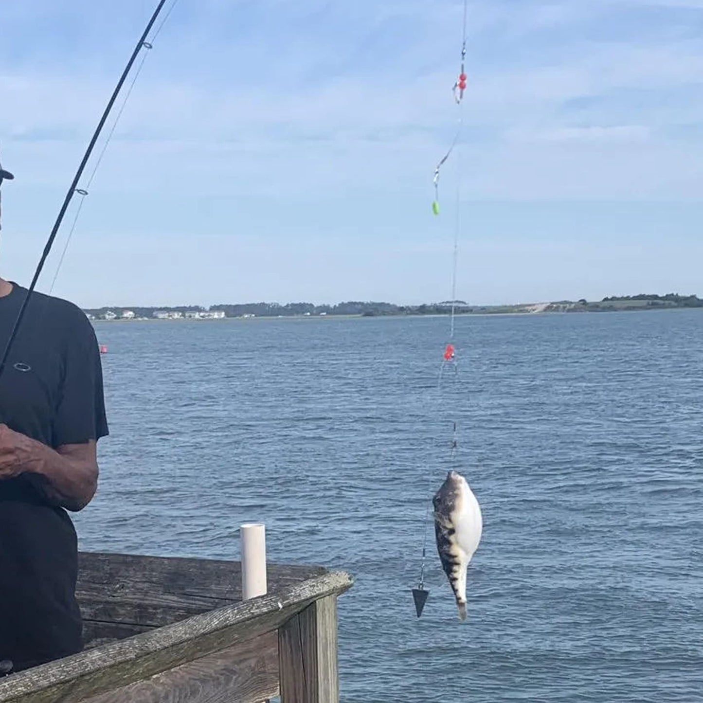 Fishing Leaders Saltwater Fishing Rigs Fishing Bottom Rigs Surf Fishing Rigs Saltwater Fishing Wire Trace Leader Rigs for Lures Bait and Hooks Steel Leaders with Swivels Snaps Beads 1Arm 2Arms