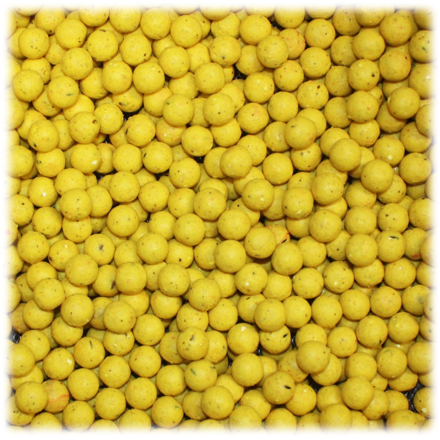 WCB Carp Baits High Protein Boilies 16 mm 1 lb bag - Carp Fishing Bait - Ideal for Carp Fishing (Flavor: Banana)
