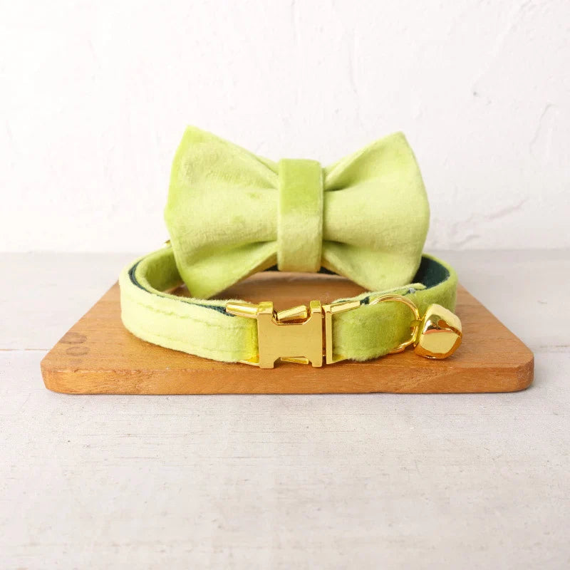 Personalized Velvet Cat Collar