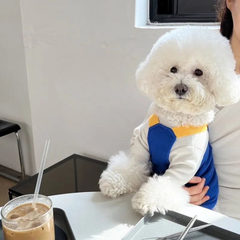 Summer Cute Dog Jumpsuit