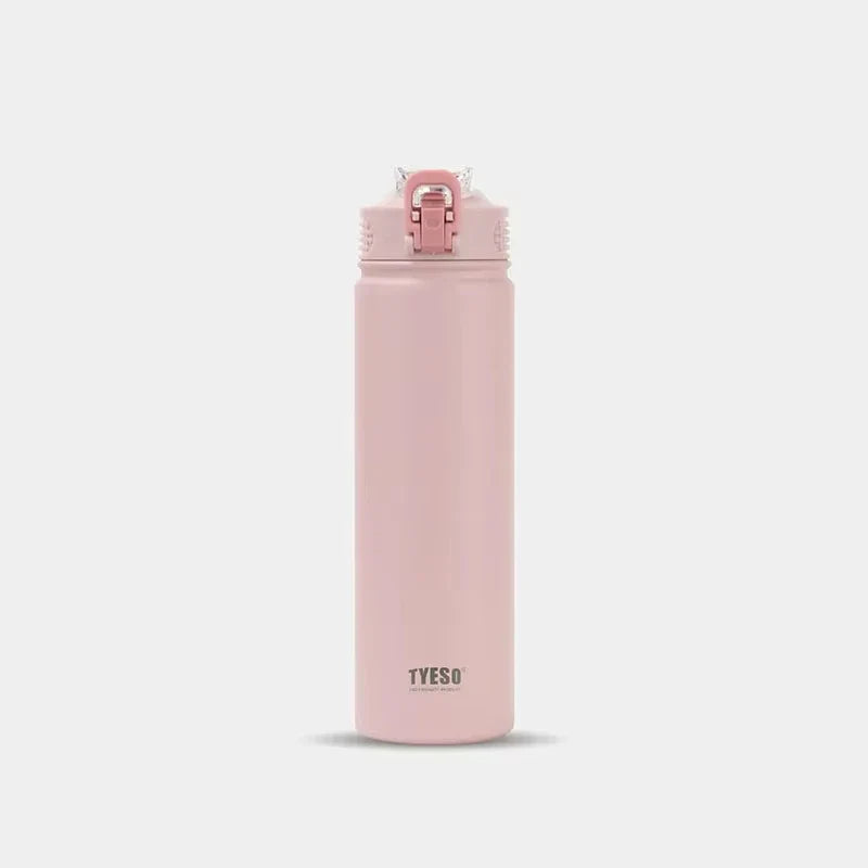 Tyeso Insulated Water Bottle with Straw ( Stainless Steel )