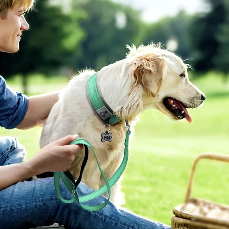 Padded Reflective Nylon Dog Collar