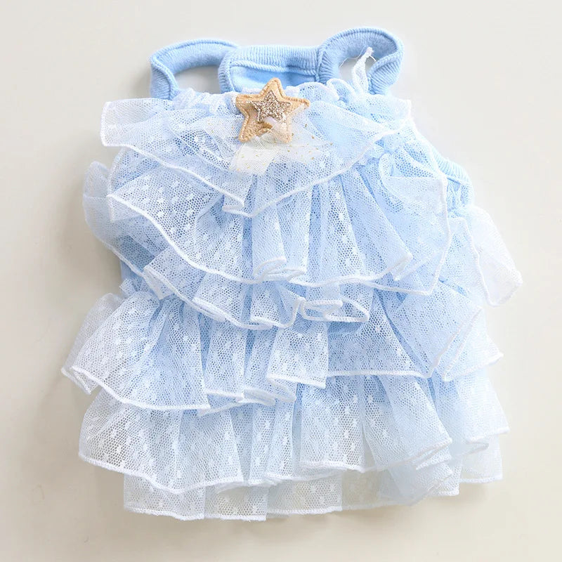 Cat Spring/summer Dress
