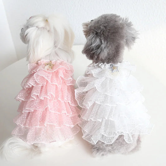Cat Spring/summer Dress