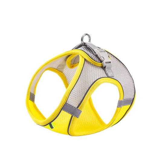 Noctilucent Pet Harness Leash Set